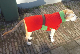 Fleecejasjes voor je hond (reversible!) uni