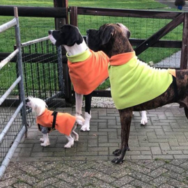 Fleecejasjes voor je hond (reversible!) uni