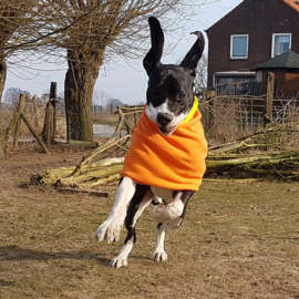 Hondensjaals van dubbelzijdig fleece