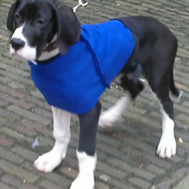 Hondensjaals van dubbelzijdig fleece