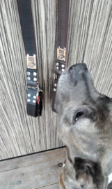 Leren riemen extra breed