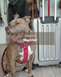 VAKANTIE CHECKLIST