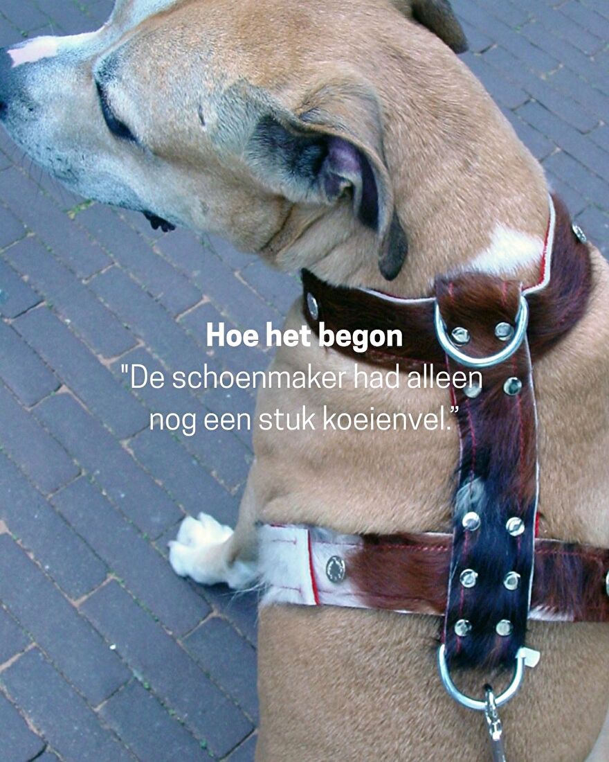 hoe het begon