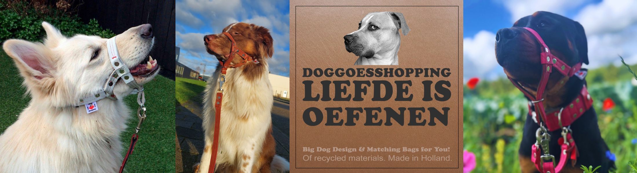 22026 liefde is oefenen