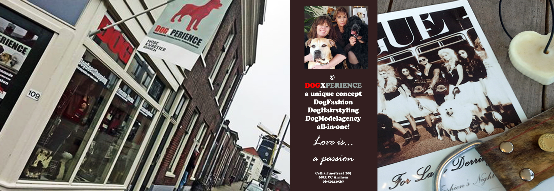 Hondgaatwinkelen2016dogxperience