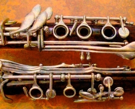 Onderhoud, reparatie en revisie klarinet vanaf  € 99,-