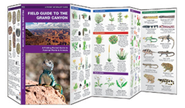 Grand Canyon field guide