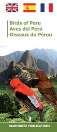 Pérou - Oiseaux du Pérou