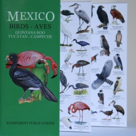 Guide des oiseaux du Mexique