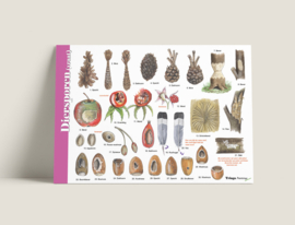 Herkenningskaart diersporen