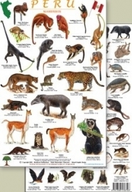 Peru - Zoogdieren