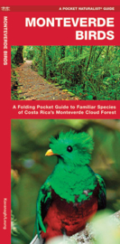 Costa Rica - Birds of Monteverde