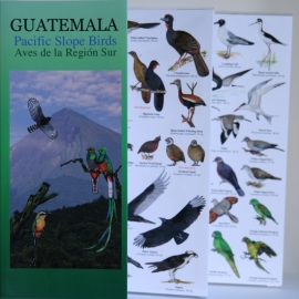 Guatemala - Vögel