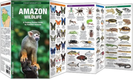 Guide des animaux d'Amazonie