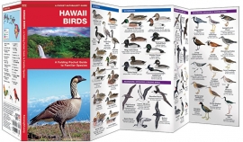 Hawaii Birds