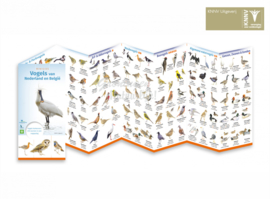 Miniführer Vögel in den Niederlanden und Belgien