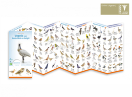 Birds of the Netherlands and Belgium