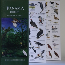 Panama - Aves en el oeste de Panamá