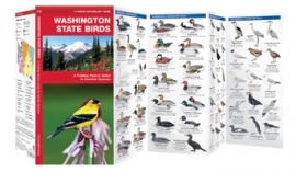 Oiseaux de l'Etat de Washington