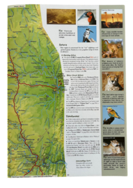 Guía del Parque Nacional Kruger