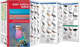 Guide des oiseaux en Afrique de l 'Est