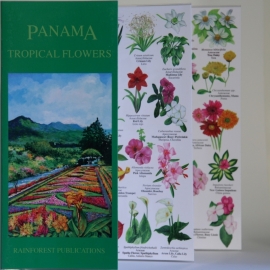Panamá - Flores tropicales