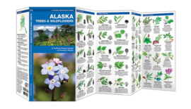 Alaska Trees and Wildflowers