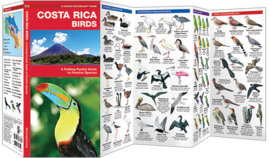 Costa Rica Vogels