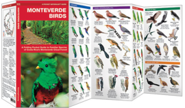 Oiseaux de Monteverde