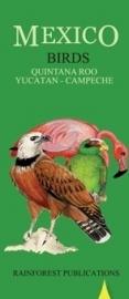 Mexico - Vogels