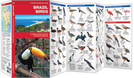 Guide des oiseaux du Brésil