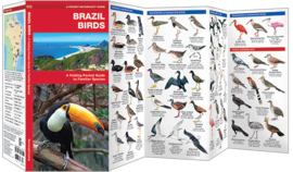 Brazilië vogels