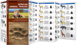 Guide des traces d'animaux en Afrique