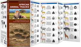 African Animal Tracks