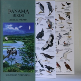 Panama - Vögel in Zentralpanama