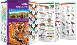 Indien Wildtiere