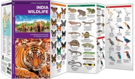 Guide des animaux en Inde