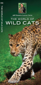 The World of Wild Cats