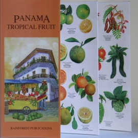 Panama - Tropische Früchte