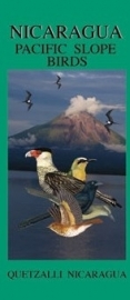 Guide des oiseaux du Nicaragua