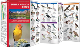 Sierra Nevada - Vogels