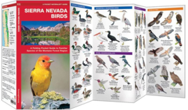 Sierra Nevada Birds