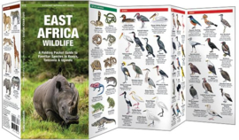 Guide des animaux en Afrique de l'Est