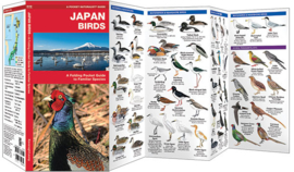 Oiseaux du Japon
