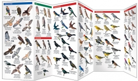 Guide des oiseaux en Alberta