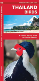 Guide Oiseaux de Thailande