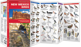 Nueva México - Aves