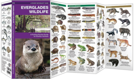 Everglades Wildlife guide