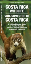 Costa Rica - Fauna