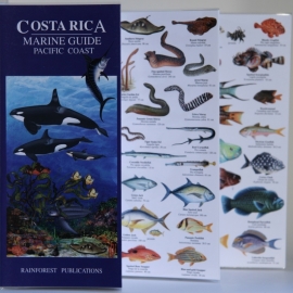 Costa Rica - Marine Guide Pacific Coast